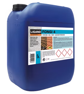 Fongi 4
